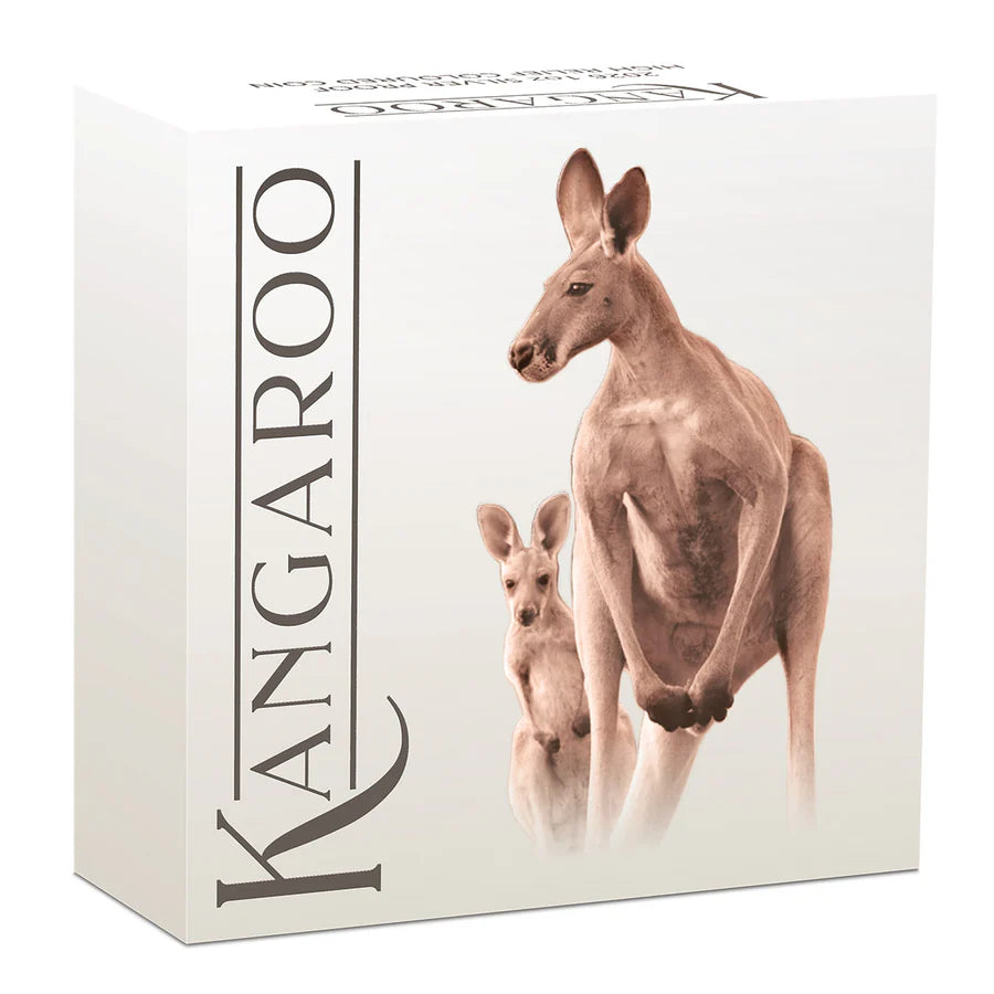 Australia Kangaroo 2026 $1 1oz Silver Proof High Relief Coloured Coin