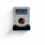 PCGS Coin Slab Display Stand The Coin Shed