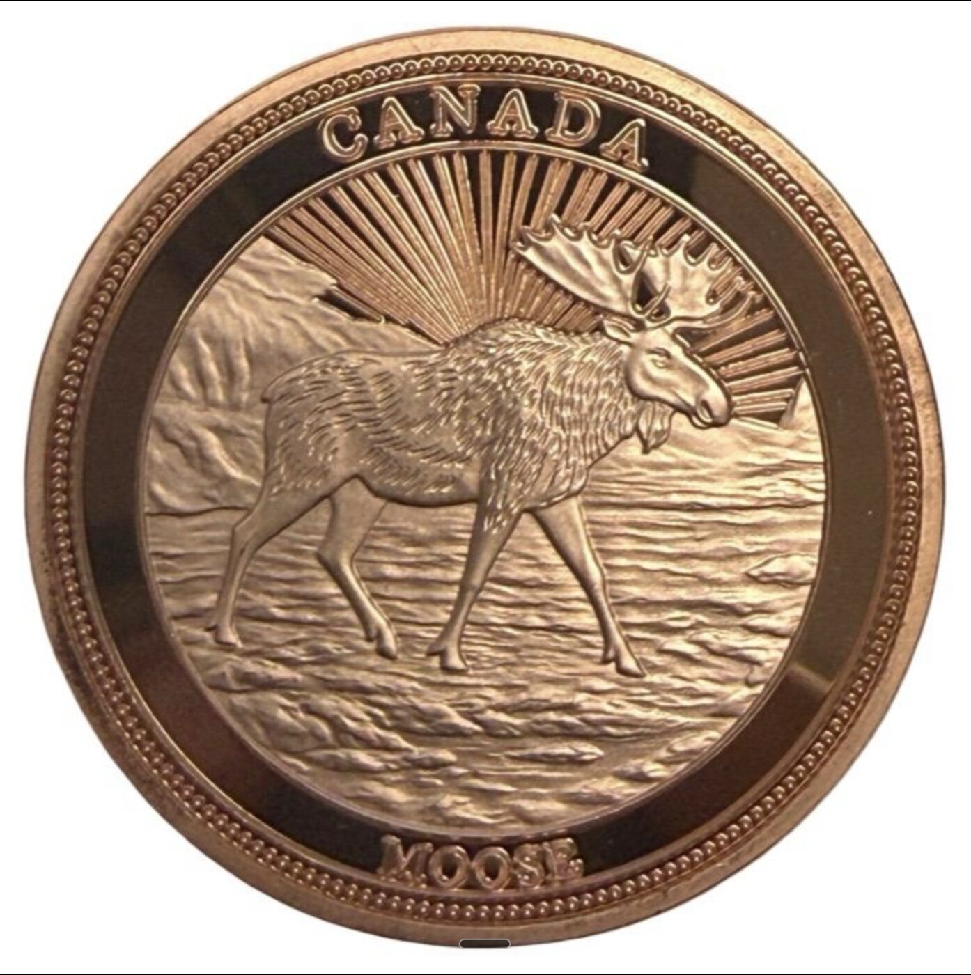 Canadian Moose 1oz Copper Round